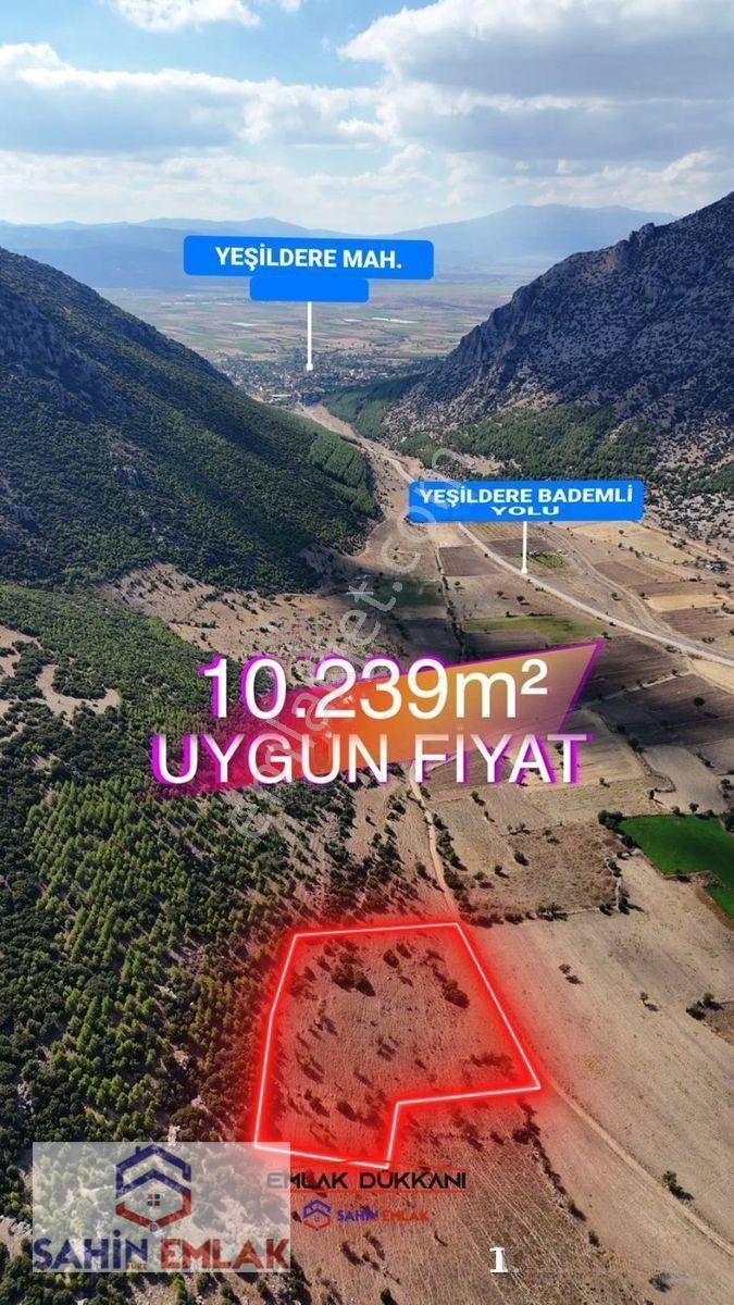 Şahin Emlaktan Acıpayam Bademli Mah.De Uygun Fiyatlı Tarla