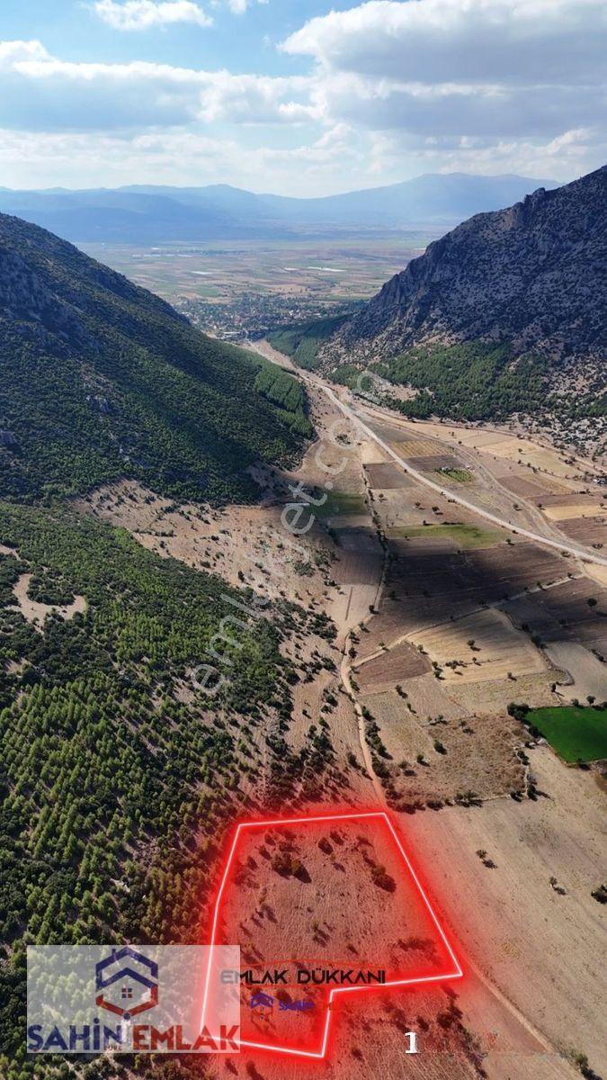 Şahin Emlaktan Acıpayam Bademli Mah.de Uygun Fiyatlı Tarla — fotoğraf 3