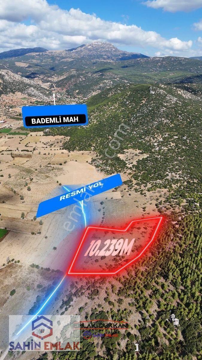 Şahin Emlaktan Acıpayam Bademli Mah.de Uygun Fiyatlı Tarla — fotoğraf 7