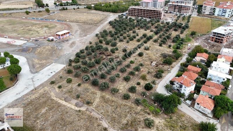 Ayvalık Altınova 3 Katlı Satılık İmarlı Arsa