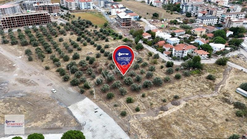 Ayvalık Altınova 3 Katlı Satılık İmarlı Arsa — fotoğraf 3