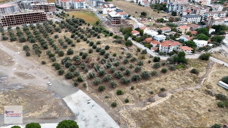 Ayvalık Altınova 3 Katlı Satılık İmarlı Arsa — fotoğraf 9