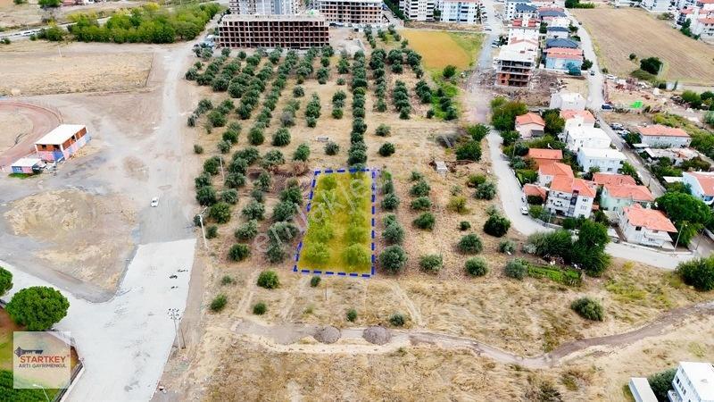 Ayvalık Altınova 3 Katlı Satılık İmarlı Arsa — fotoğraf 14