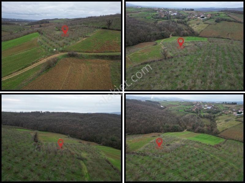 Hocaoğlunda Bakımlı Etrafı Çevrili Satılık 2400 M² Tarla — fotoğraf 5