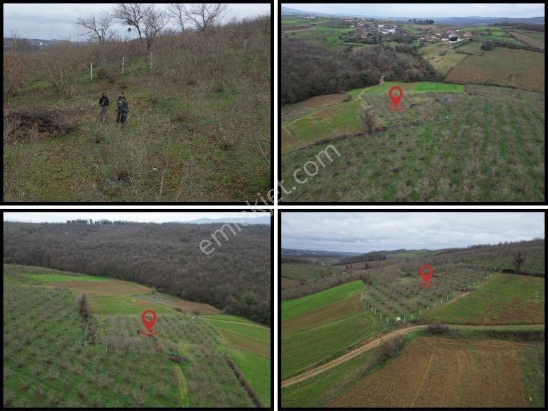 Hocaoğlunda Bakımlı Etrafı Çevrili Satılık 2400 M² Tarla — fotoğraf 6