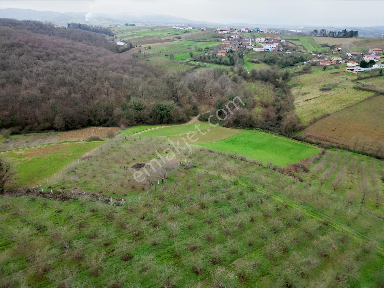 Hocaoğlunda Bakımlı Etrafı Çevrili Satılık 2400 M² Tarla — fotoğraf 7