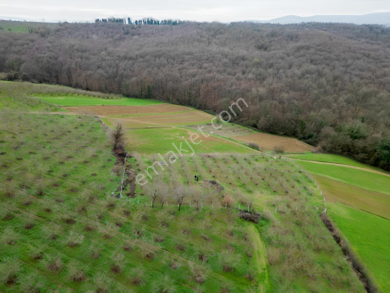 Hocaoğlunda Bakımlı Etrafı Çevrili Satılık 2400 M² Tarla — fotoğraf 13
