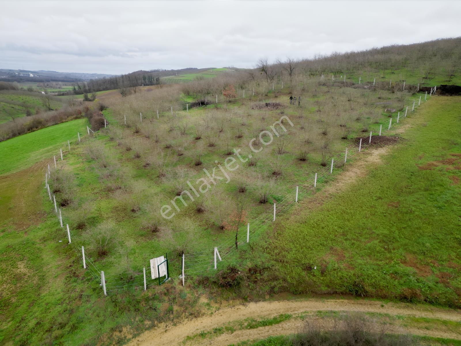 Hocaoğlunda Bakımlı Etrafı Çevrili Satılık 2400 M² Tarla — fotoğraf 18