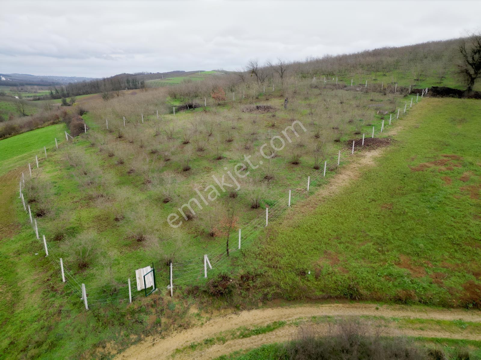 Hocaoğlunda Bakımlı Etrafı Çevrili Satılık 2400 M² Tarla — fotoğraf 20