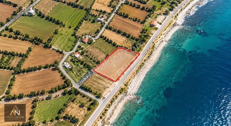 Göl Kenarı Satılık Yatırımlık 1.000m2 Arsa Hissesi — fotoğraf 3