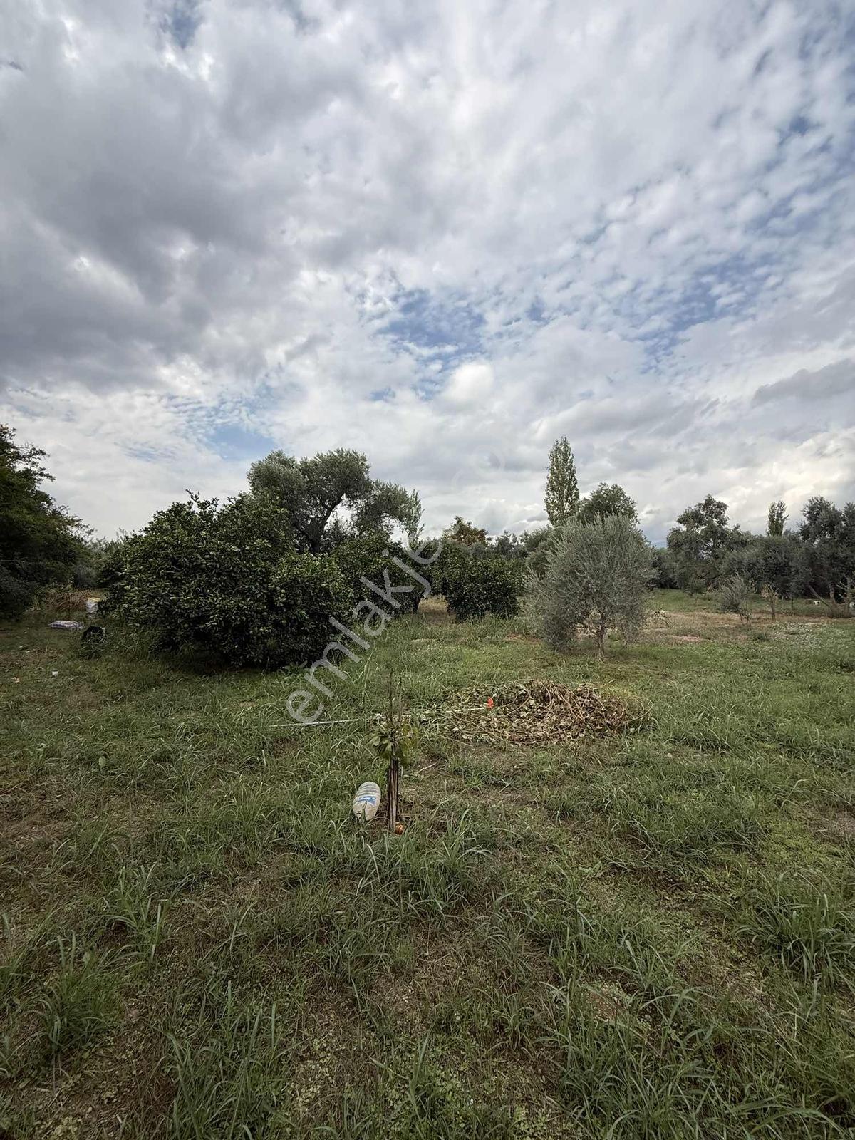 Güzelköy'de 4520 M2 Bahçe, Asvalta Yakın — fotoğraf 2