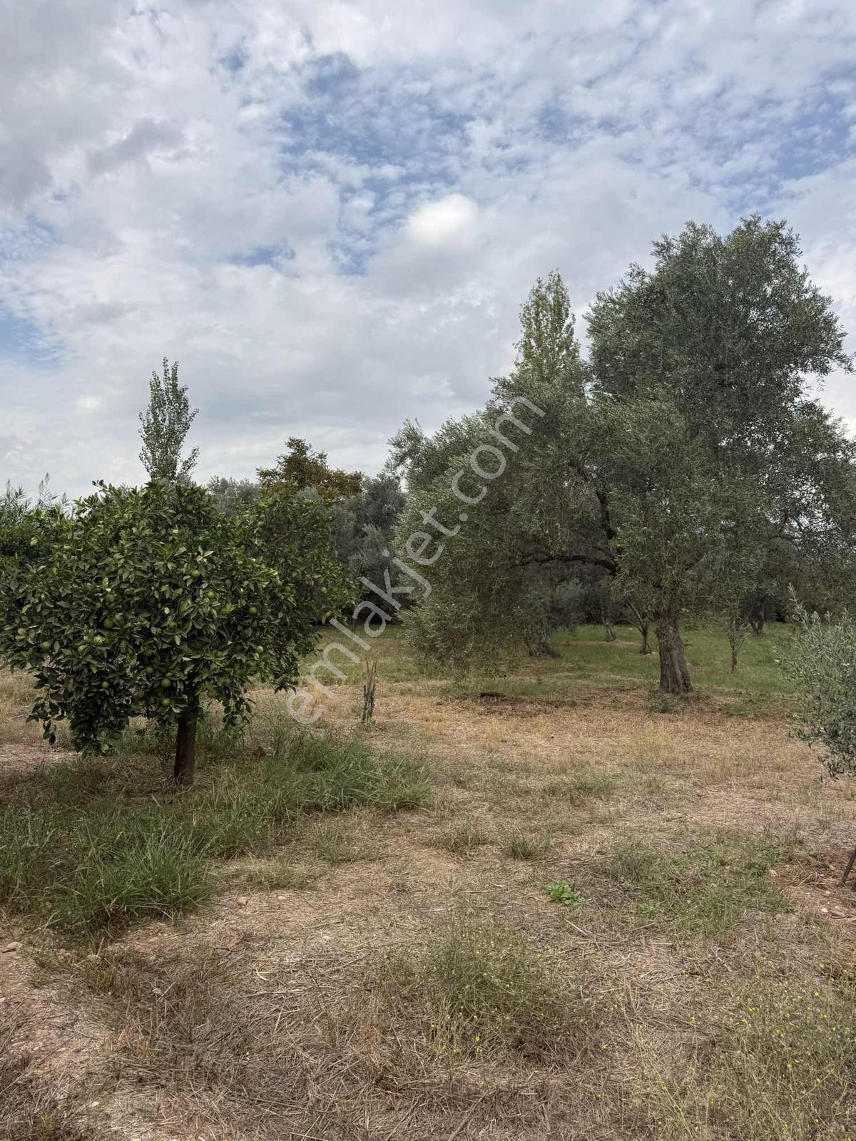 Güzelköy'de 4520 M2 Bahçe, Asvalta Yakın — fotoğraf 4