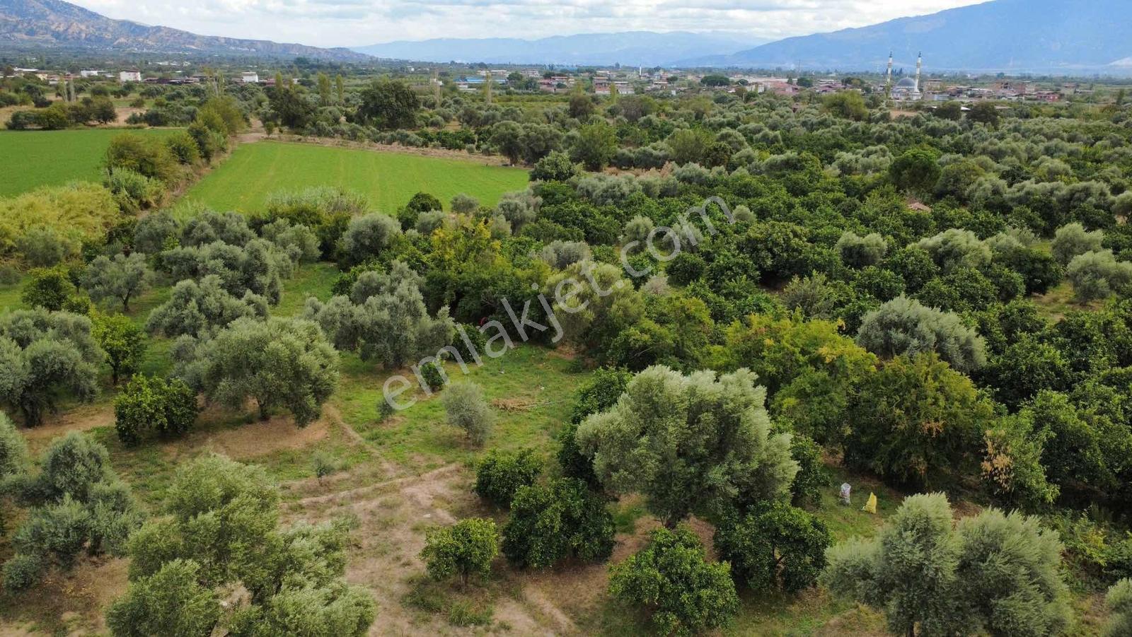 Güzelköy'de 4520 M2 Bahçe, Asvalta Yakın — fotoğraf 14