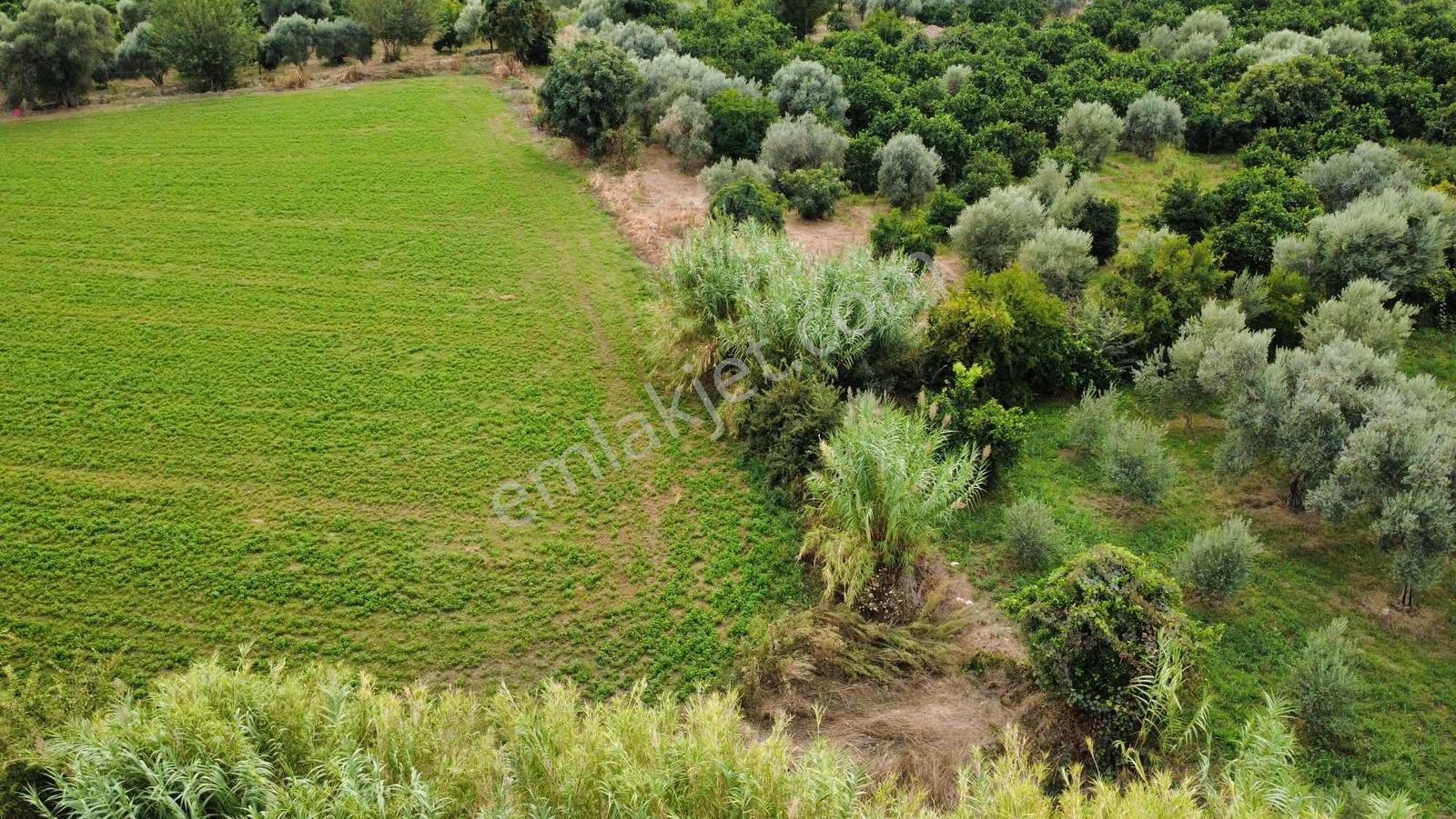 Güzelköy'de 4520 M2 Bahçe, Asvalta Yakın — fotoğraf 19