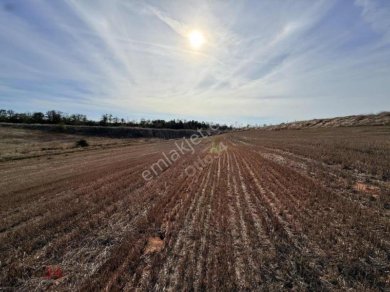 Veliköy Otoban Cepheli 0,80 Emsal Satılık Sanayi Arsası — fotoğraf 28
