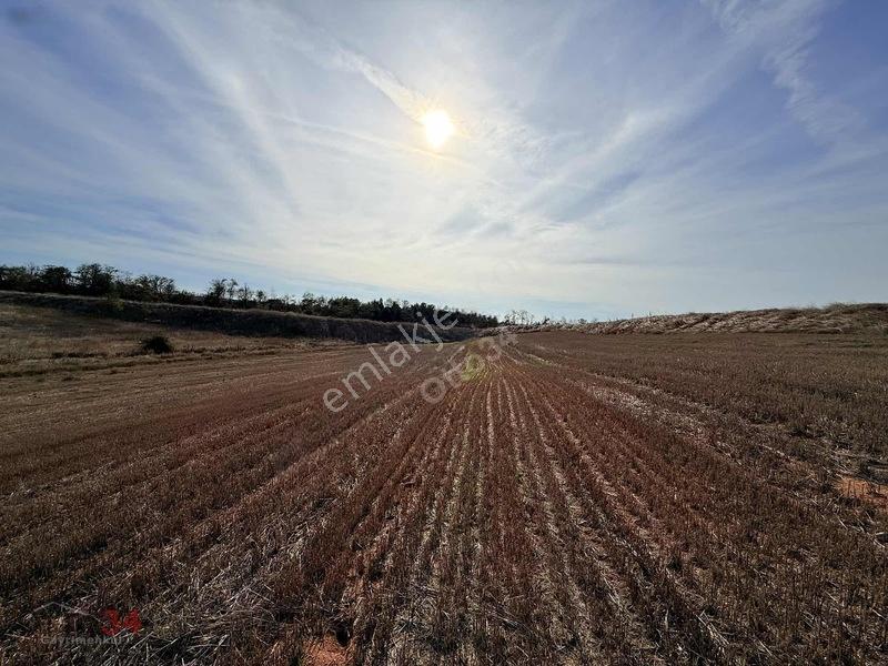 Veliköy Otoban Cepheli 0,80 Emsal Satılık Sanayi Arsası — fotoğraf 29