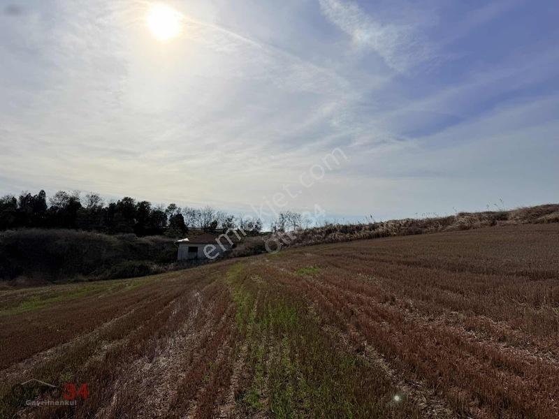 Veliköy Otoban Cepheli 0,80 Emsal Satılık Sanayi Arsası — fotoğraf 30
