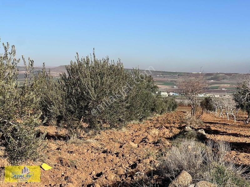 Satlık G.antep Şahinbey Kazıklı Mahellesinde Bag Evlik Yüksek Ko — fotoğraf 3