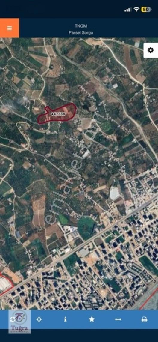 Tuğra Gayrimenkulden Tecede Yatırımlık Tarla Hissesi