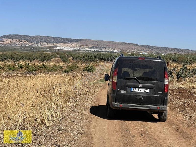 Satlık Kilis Merkez Çakallıpınar Köyünde Çiflik Bag Evi Konumund — fotoğraf 2