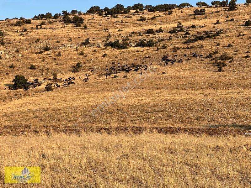 Satlık Kilis Merkez Çakallıpınar Köyünde Çiflik Bag Evi Konumund — fotoğraf 3