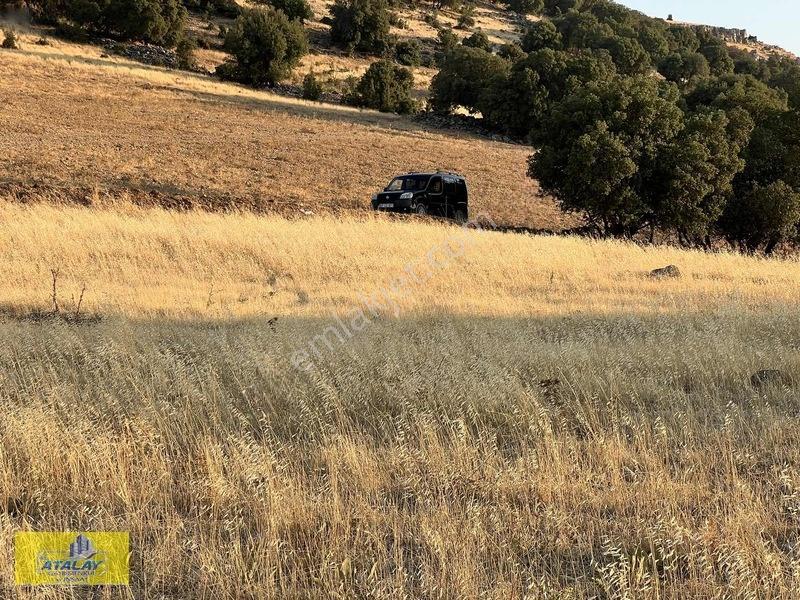 Satlık Kilis Merkez Çakallıpınar Köyünde Çiflik Bag Evi Konumund — fotoğraf 5