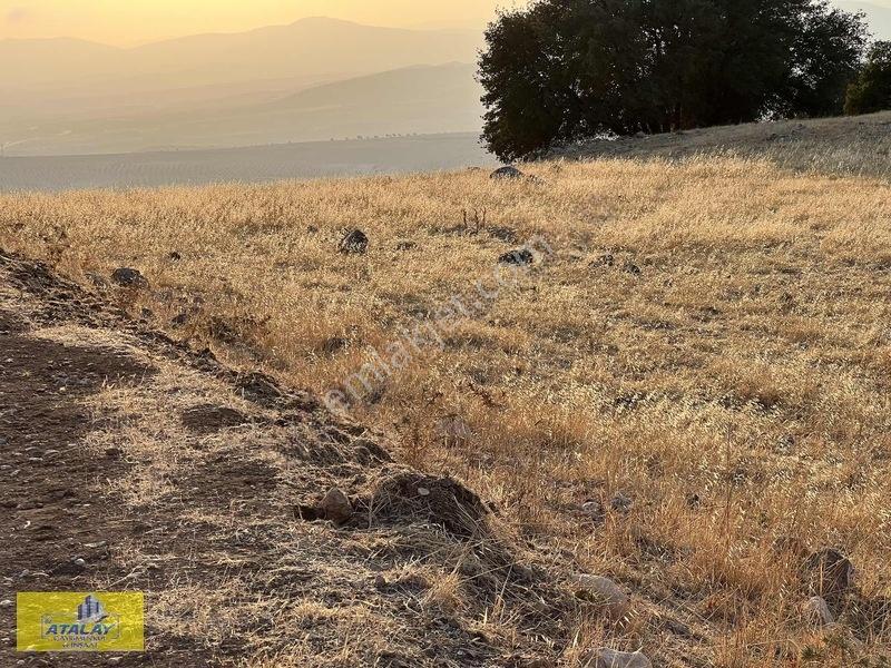 Satlık Kilis Merkez Çakallıpınar Köyünde Çiflik Bag Evi Konumund — fotoğraf 7