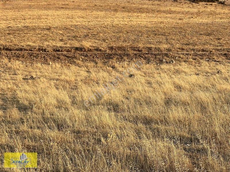 Satlık Kilis Merkez Çakallıpınar Köyünde Çiflik Bag Evi Konumund — fotoğraf 8