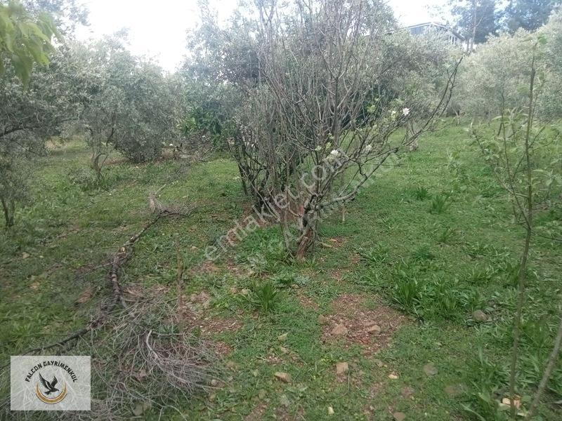 Falcon Dan Esenköy De Fırsat 500m² 40/80 İmarlı — fotoğraf 3