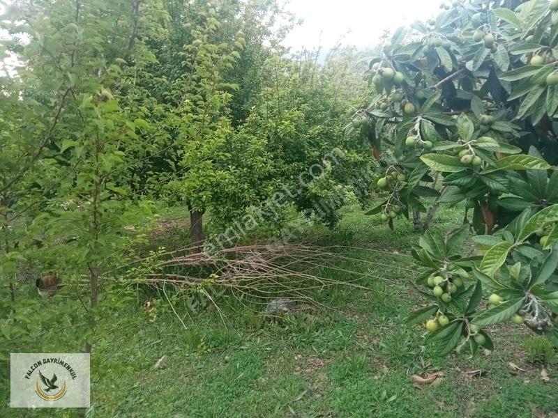 Falcon Dan Esenköy De Fırsat 500m² 40/80 İmarlı — fotoğraf 5