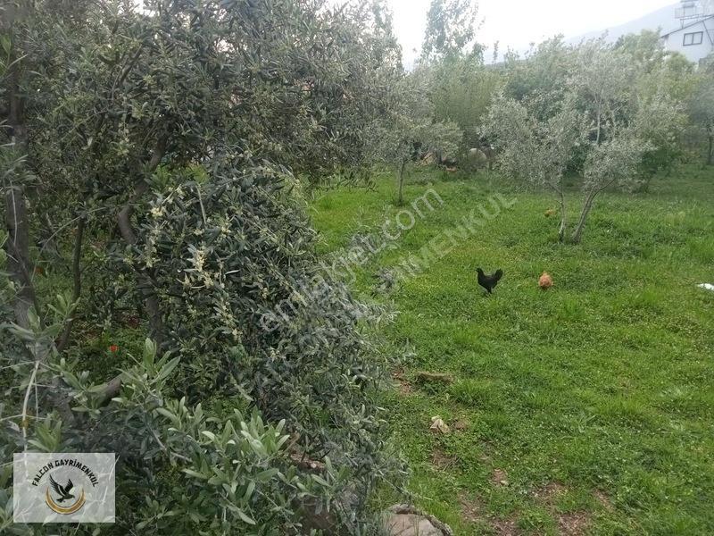 Falcon Dan Esenköy De Fırsat 500m² 40/80 İmarlı — fotoğraf 7