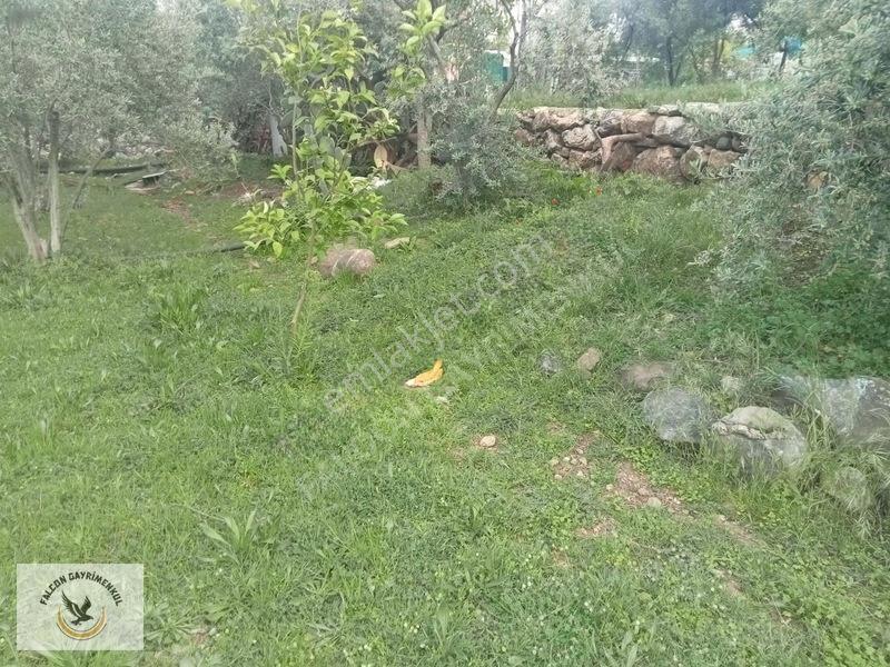 Falcon Dan Esenköy De Fırsat 500m² 40/80 İmarlı — fotoğraf 8