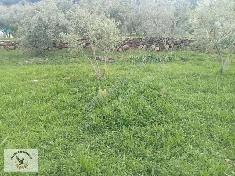 Falcon Dan Esenköy De Fırsat 500m² 40/80 İmarlı — fotoğraf 9