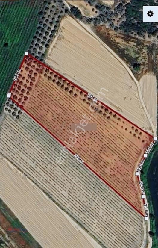 Değirmenderede Satılık 12.400 M² Bağ, Zeytin Ve Ceviz Bahçesi — fotoğraf 11