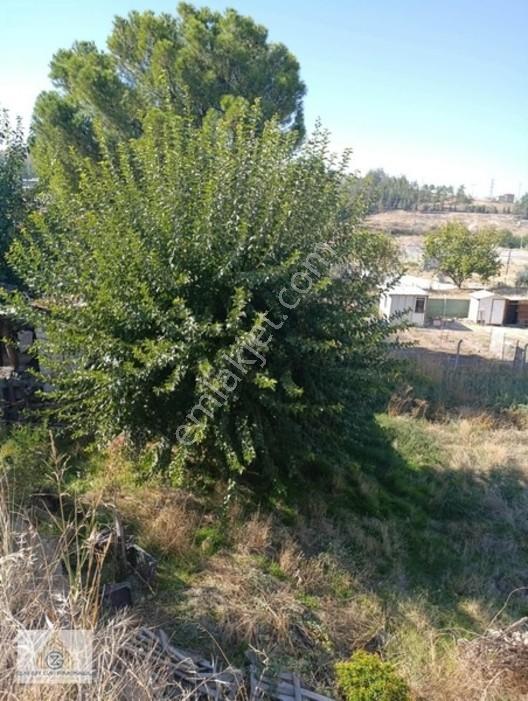 Gayrimenkulde Fırsat Beklemez, Yatırım Yapan Kazanır! — fotoğraf 3