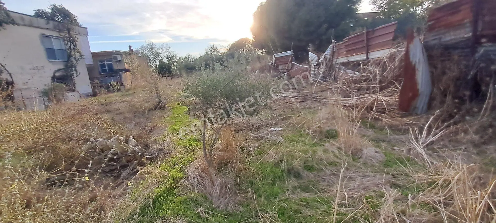 Nazilli Arslanın Mahallesi İmarlı Arsa — fotoğraf 2
