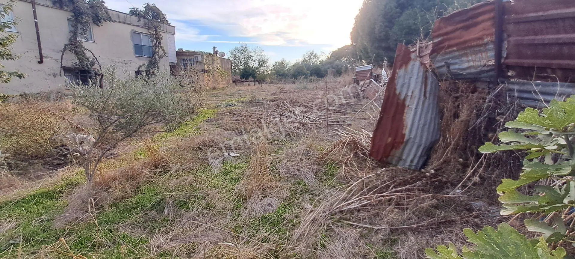 Nazilli Arslanın Mahallesi İmarlı Arsa — fotoğraf 4