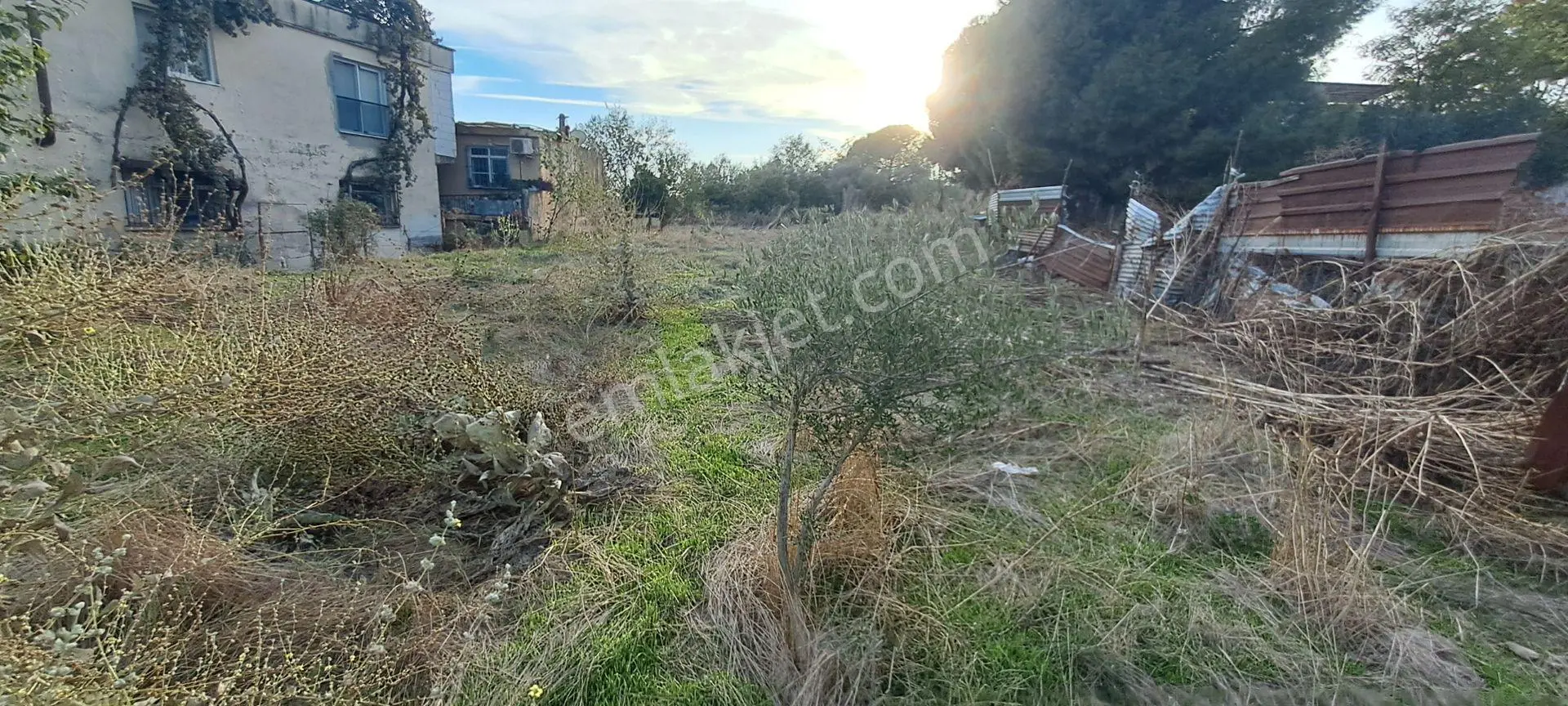 Nazilli Arslanın Mahallesi İmarlı Arsa — fotoğraf 5