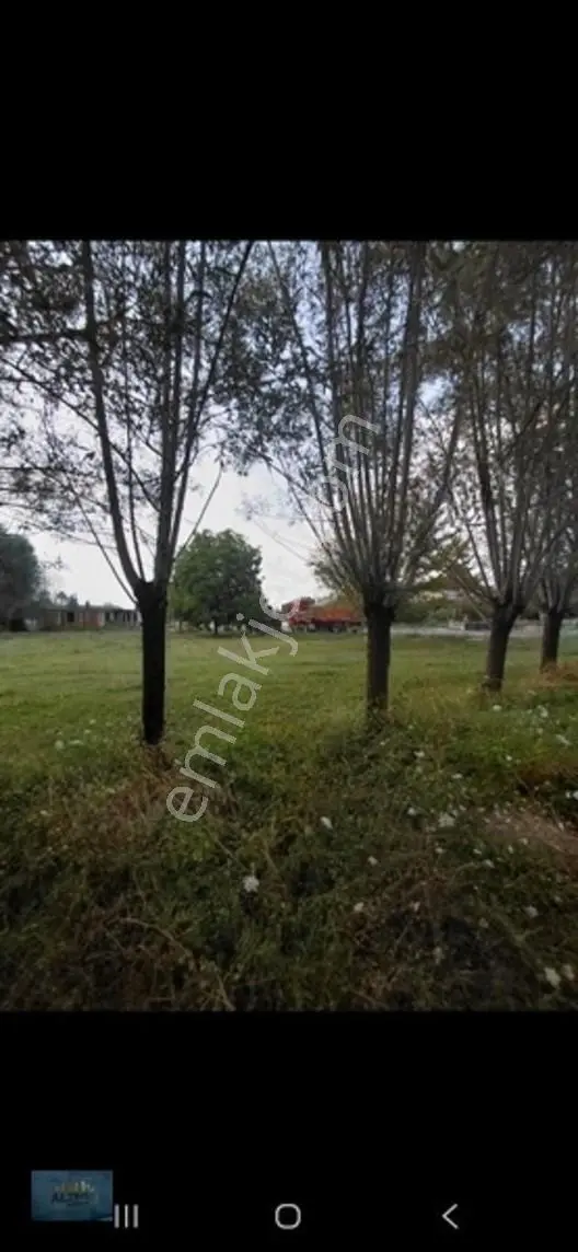 Kabakulak 1560 Mt2 Müstakil Tapulu Arazi — fotoğraf 3