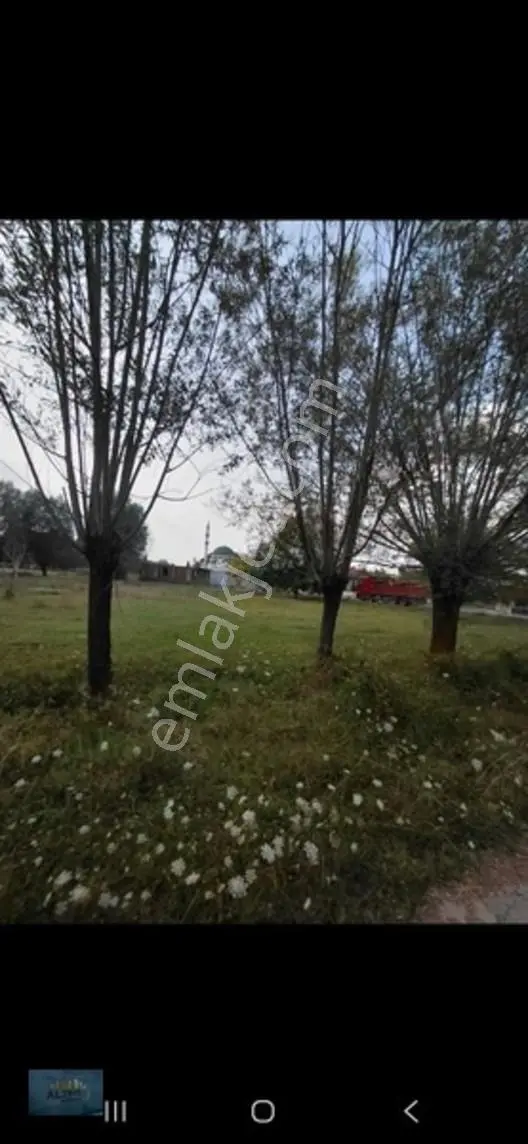 Kabakulak 1560 Mt2 Müstakil Tapulu Arazi — fotoğraf 4