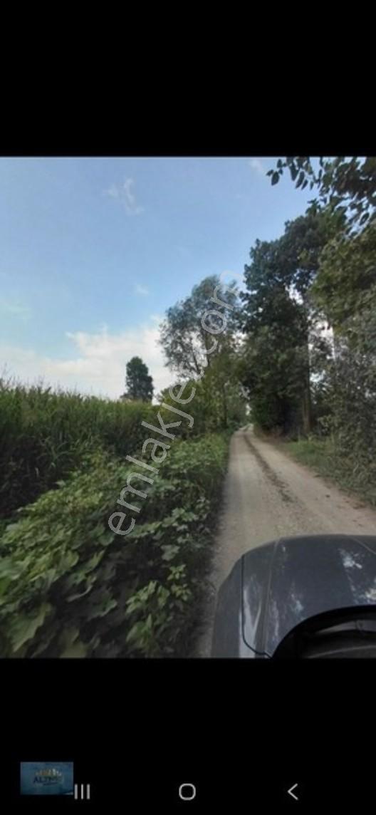 Kabakulak 1560 Mt2 Müstakil Tapulu Arazi — fotoğraf 9
