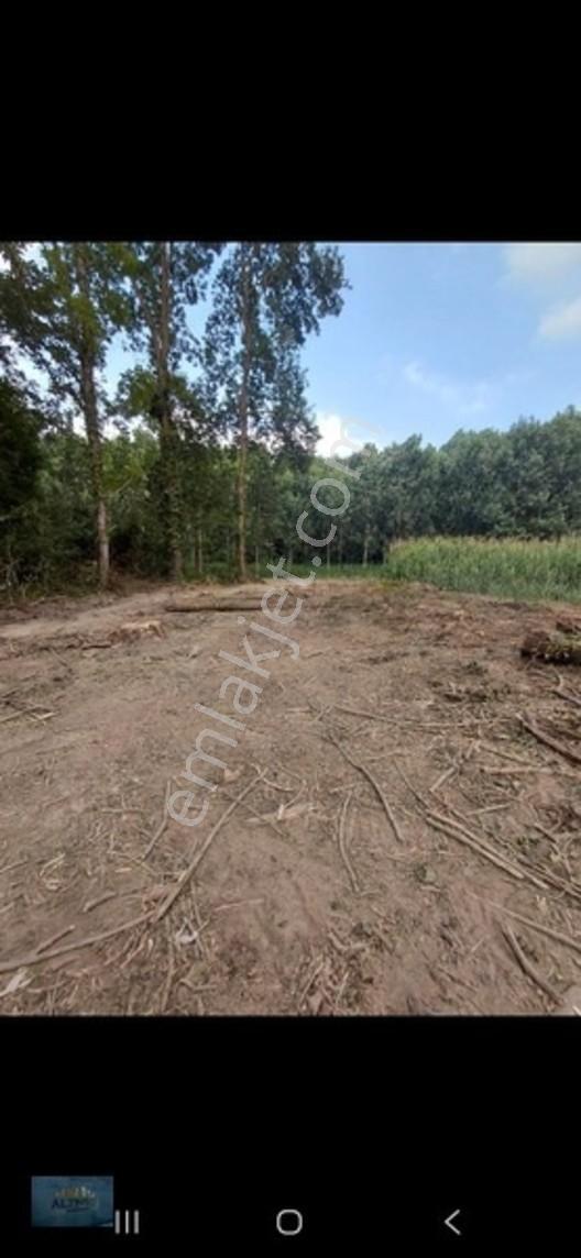 Kabakulak 1560 Mt2 Müstakil Tapulu Arazi — fotoğraf 12