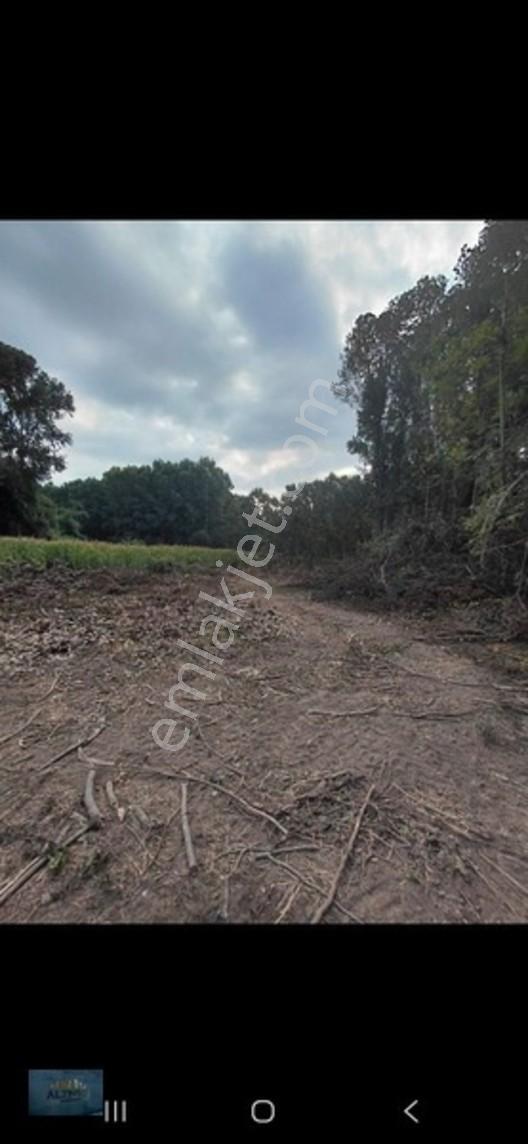 Kabakulak 1560 Mt2 Müstakil Tapulu Arazi — fotoğraf 13