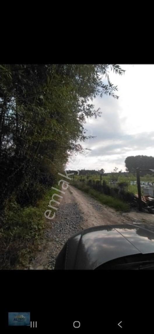 Kabakulak 1560 Mt2 Müstakil Tapulu Arazi — fotoğraf 15