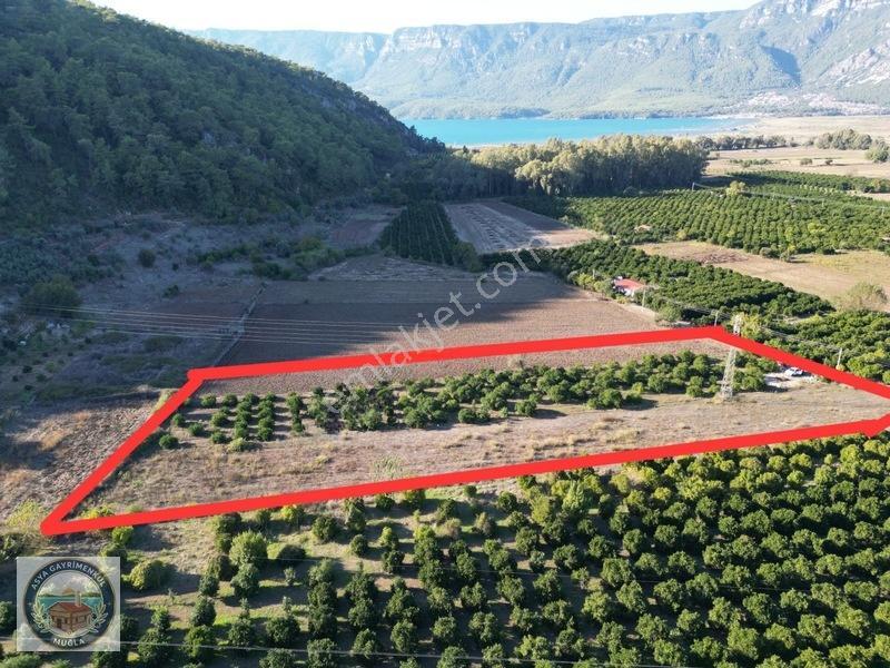 Gökçe'De Satılık Tarla