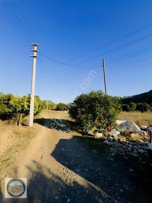 Gökçe'de Satılık Tarla — fotoğraf 3