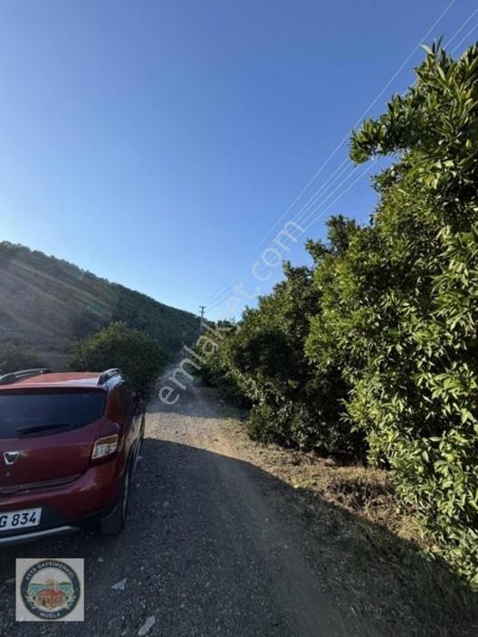 Gökçe'de Satılık Tarla — fotoğraf 4
