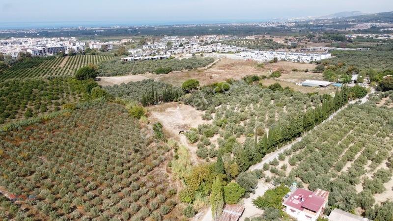 İzmir Gümüldürde Denize 50 Metre Termal Turizm İmarlı Arsa — fotoğraf 4