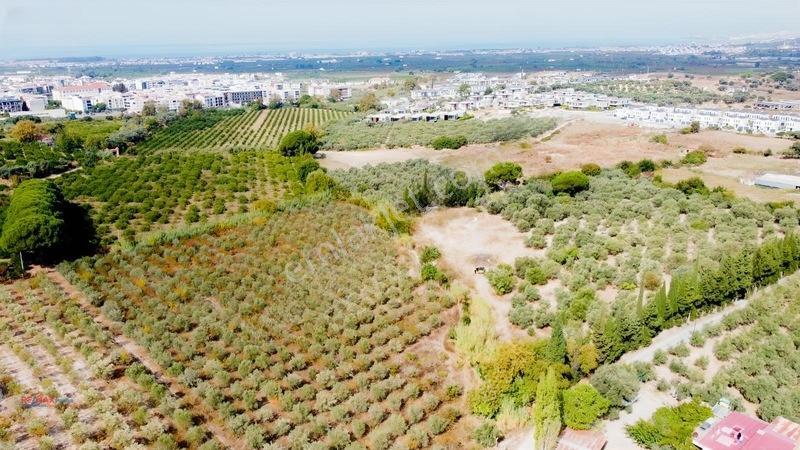 İzmir Gümüldürde Denize 50 Metre Termal Turizm İmarlı Arsa — fotoğraf 5