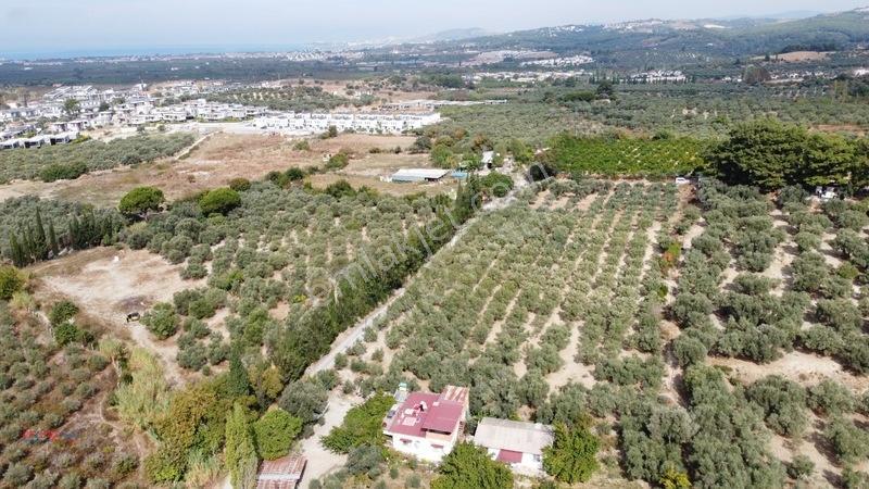 İzmir Gümüldürde Denize 50 Metre Termal Turizm İmarlı Arsa — fotoğraf 6